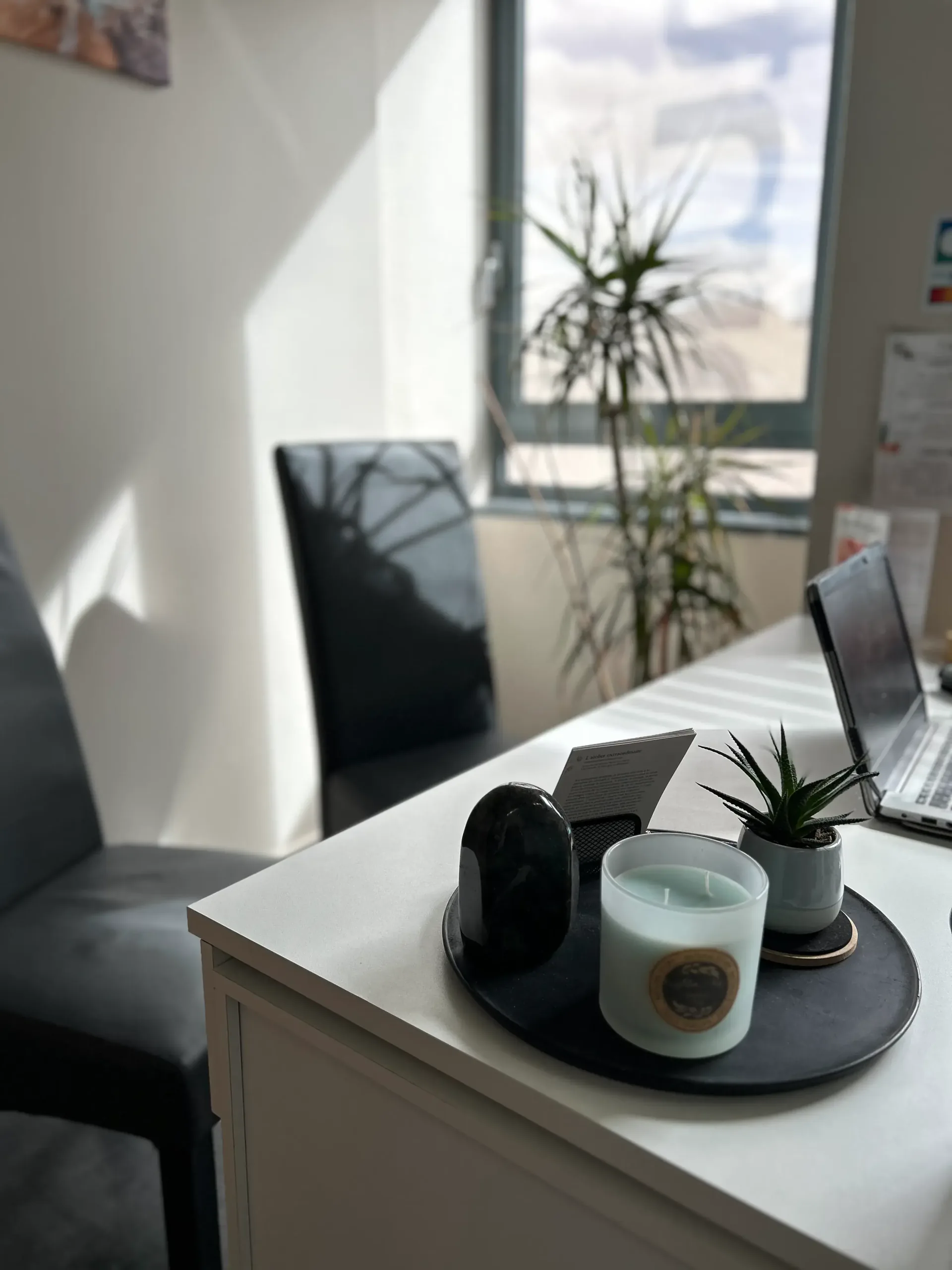 Le bureau de consultation de la diététicienne-nutritionniste, au cabinet de Roanne, baigné de lumière, avec deux fauteuils et une plante